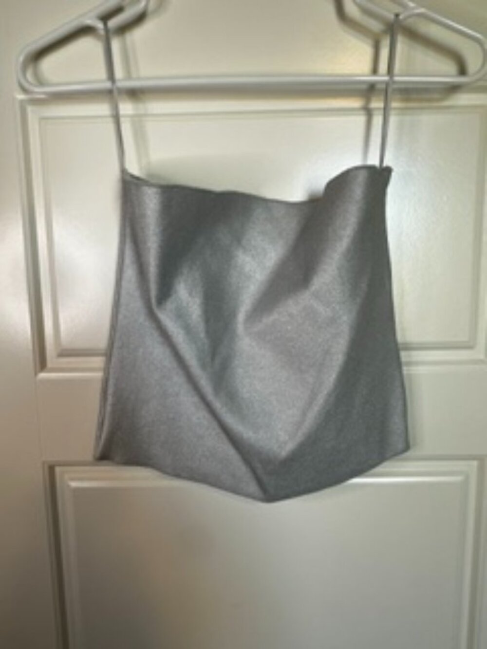 Zara Silver Tube Top Crop Top